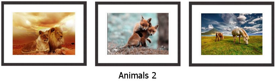 Animals 2 Framed Prints